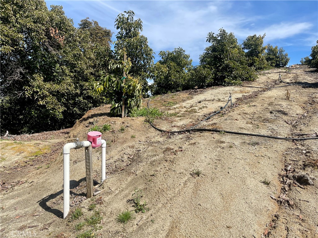 26915 Muutama Road Valley Center, CA 92082 - Photo 10 of 40 a backyard of a house with a yard and garage