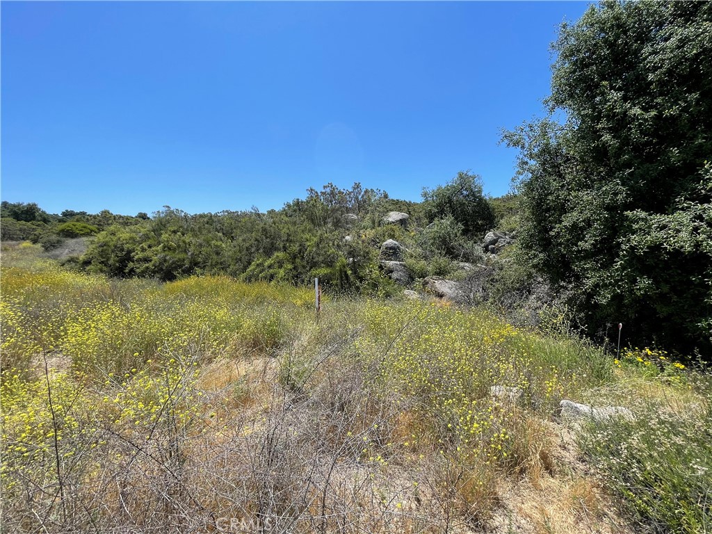 0 Tanager Hemet, CA 92544 - Photo 12 of 17 a view of lake with green space