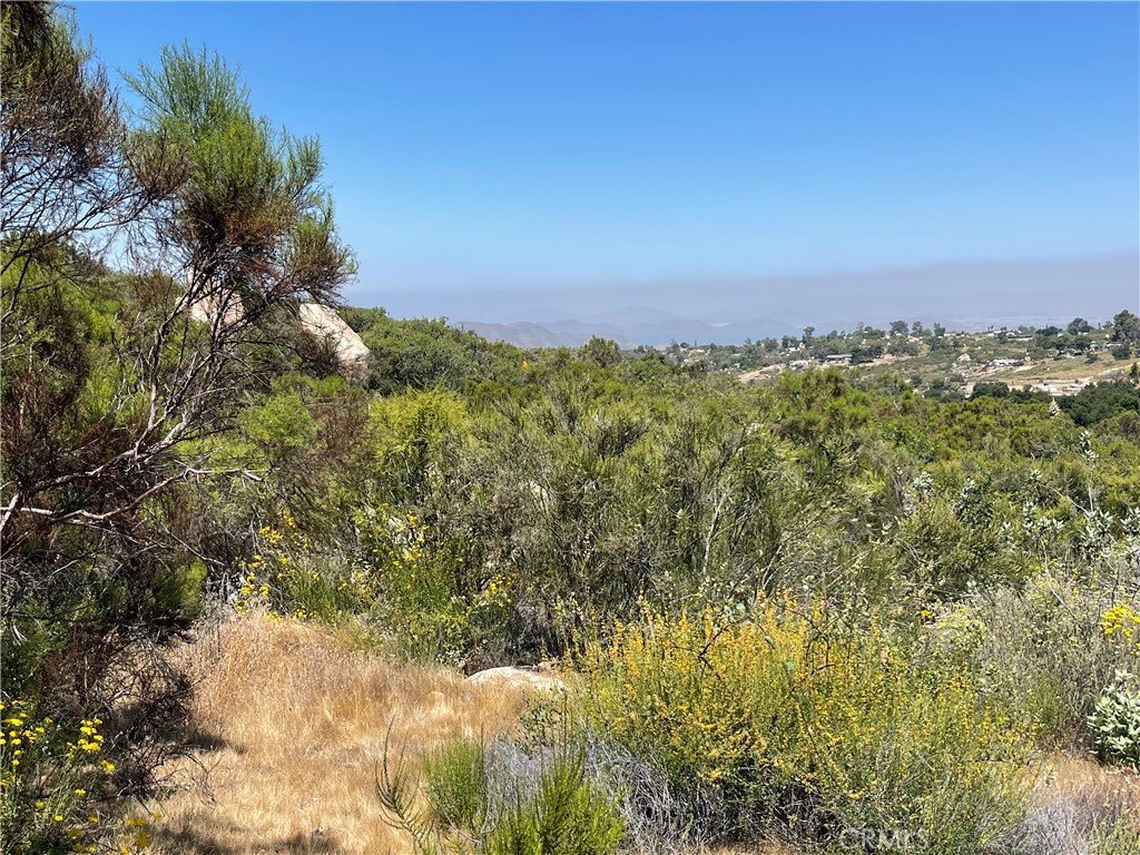 0 Tanager Hemet, CA 92544 - Photo 13 of 17 a view of a green field