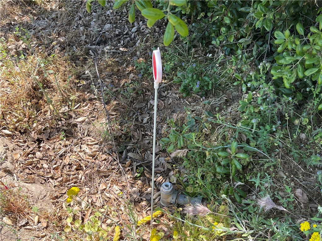 0 Tanager Hemet, CA 92544 - Photo 4 of 17 a flag is sitting in the middle of a forest