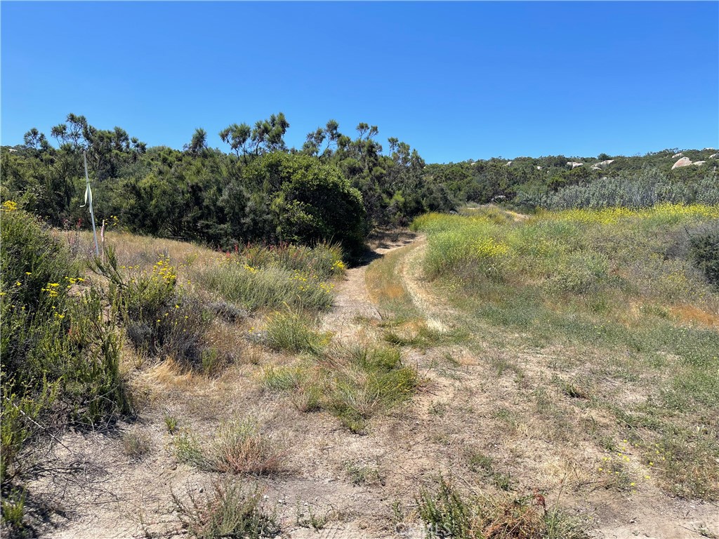 0 Tanager Hemet, CA 92544 - Photo 9 of 17 a view of a yard with a trees