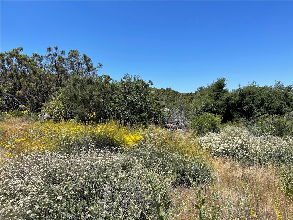 0 Tanager Hemet, CA 92544 - Photo 10 of 17 a view of a lake with houses in the back