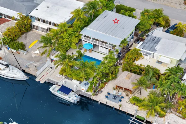 a view of a yard with plants