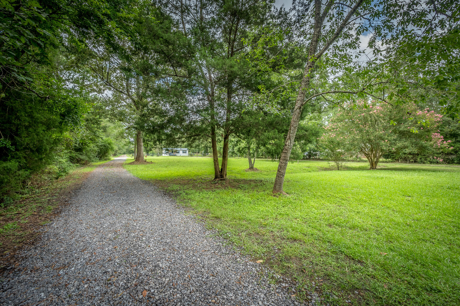 1390 Mail Rte Road Bonneau, SC 29431 - Photo 29 of 33 1390MailRoute-30
