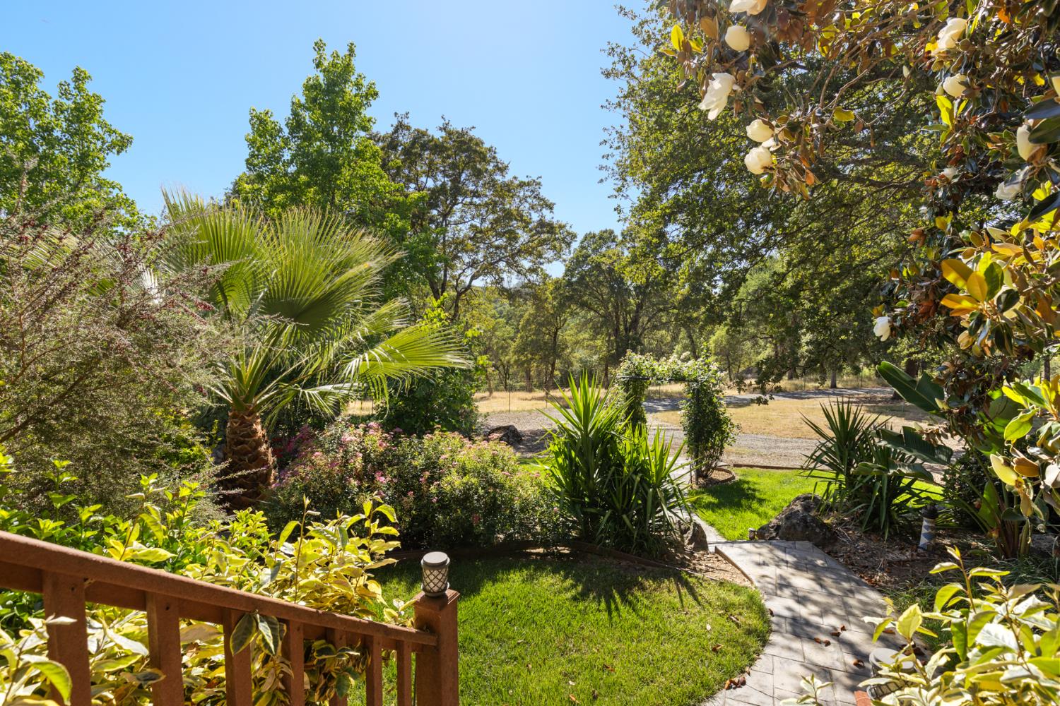 45 Lighthouse Lane Bangor, CA 95901 - Photo 35 of 63 a picture of plants