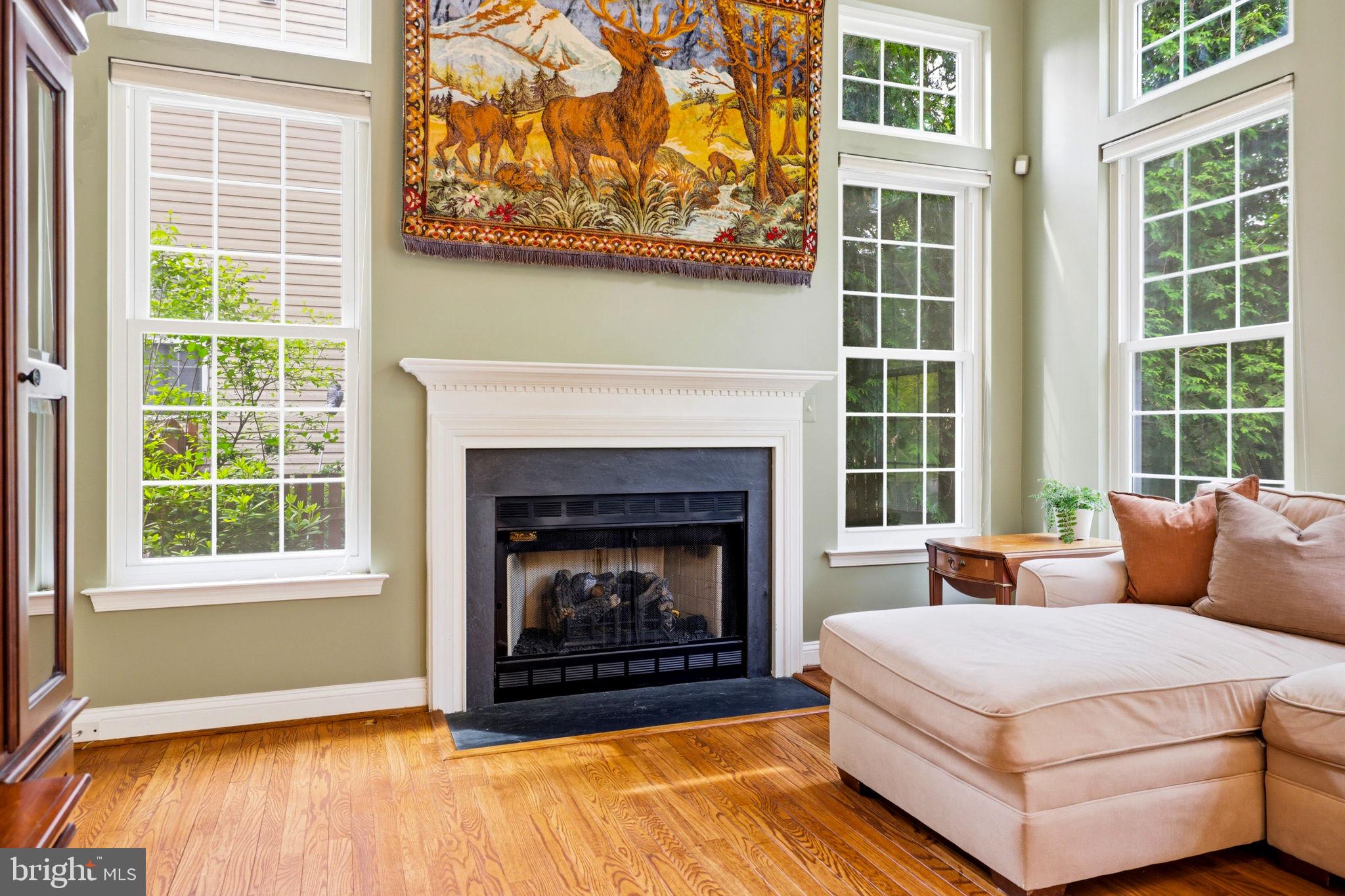 813 Duncan Place Southeast Leesburg, VA 20175 - Photo 28 of 90 Family Room with Gas Fireplace