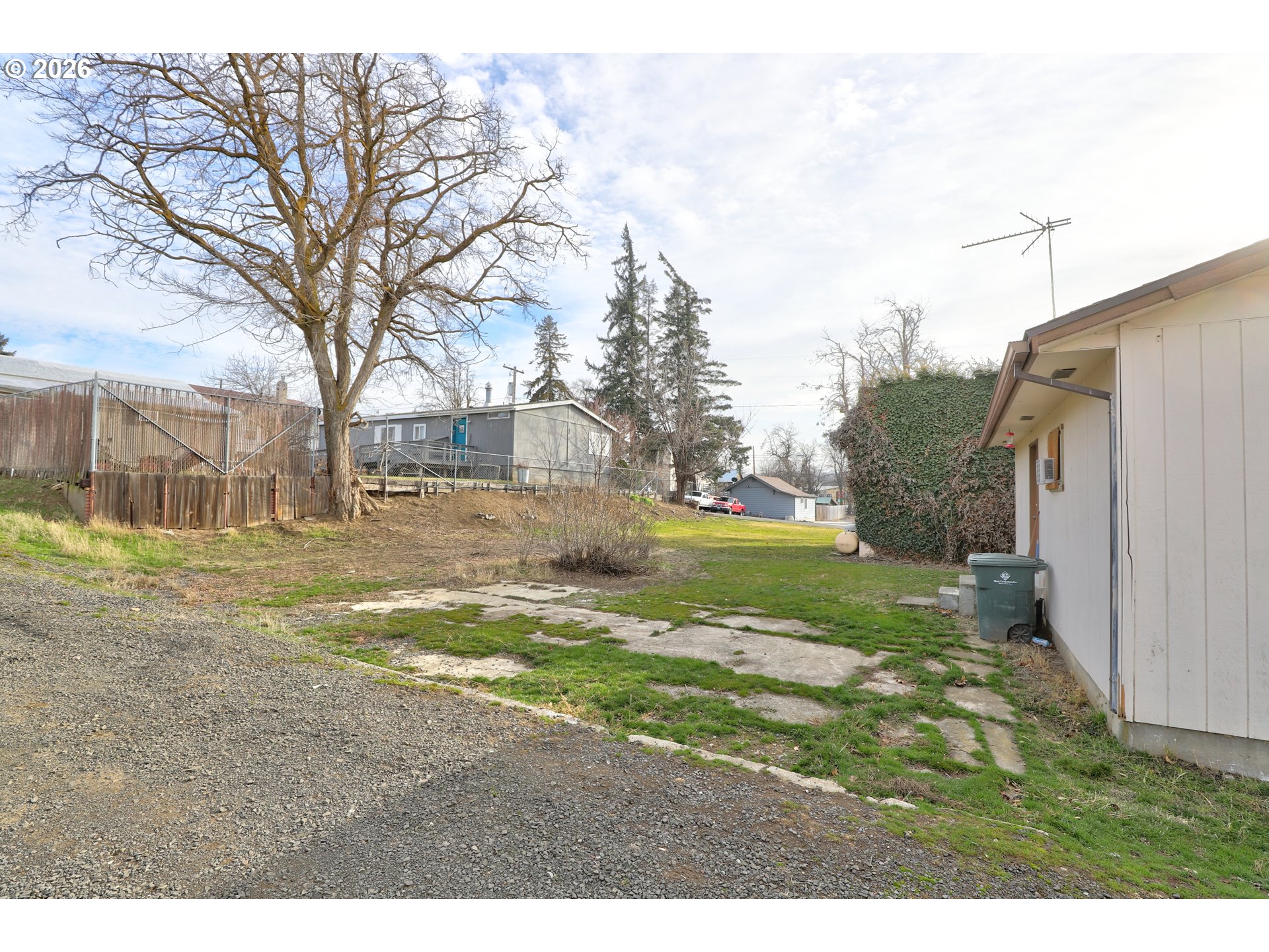 1013 Clark Street Wasco, OR 97065 - Photo 17 of 19 a view of a yard with a large tree