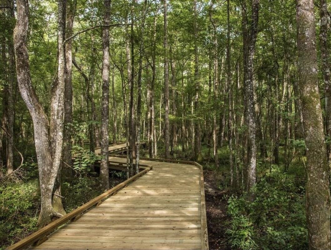 90 Nyes Place St. Augustine, FL 32092 - Photo 30 of 32 a view of a outdoor space