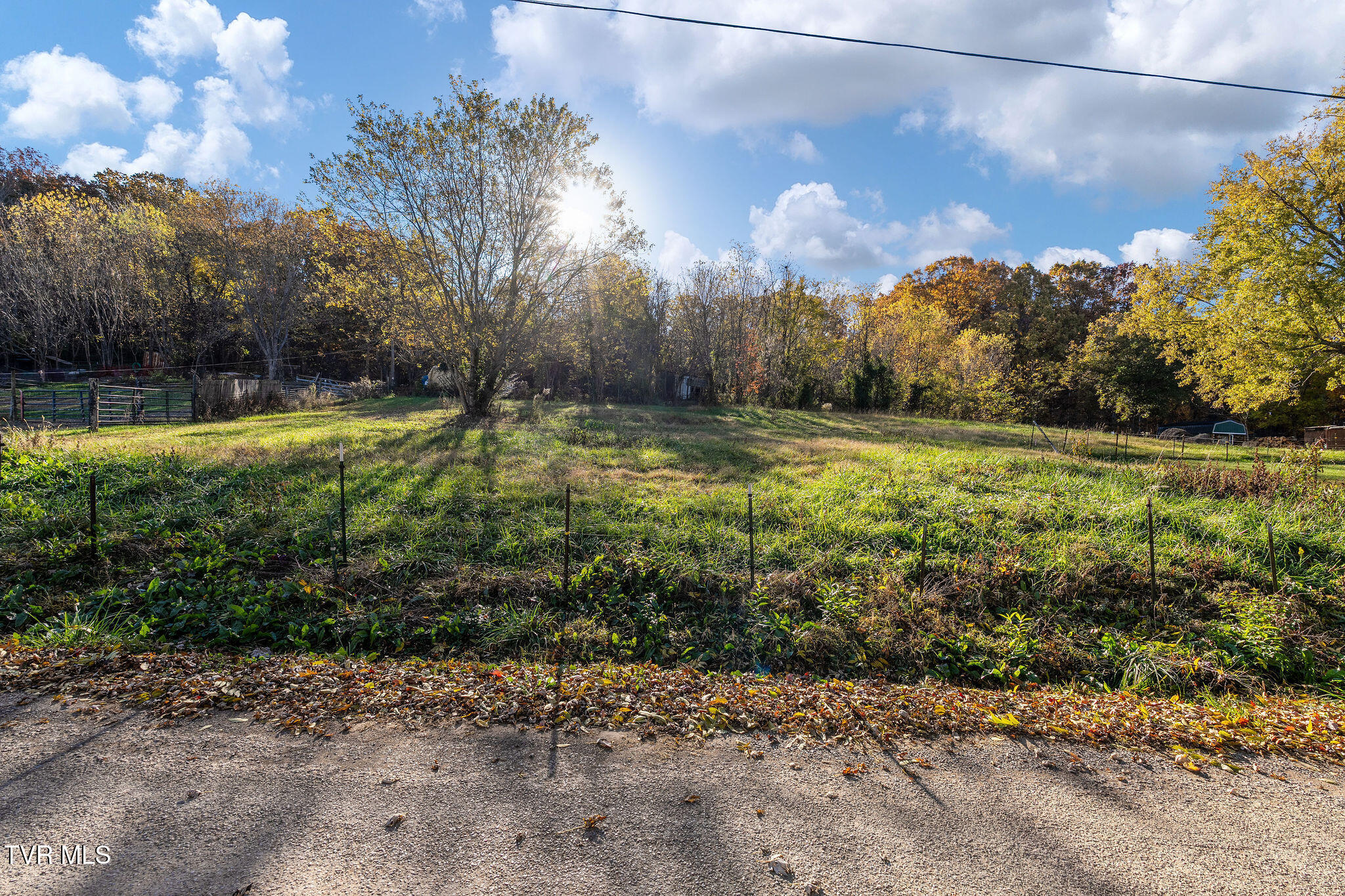 Tbd Old Mine Road, Unit 1R Greeneville, TN 37745 - Photo 4 of 9 DSC08586