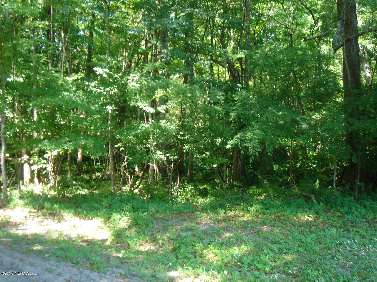 3472 Russell Road Green Cove Springs, FL 32043 - Photo 41 of 42 Wooded area behind home