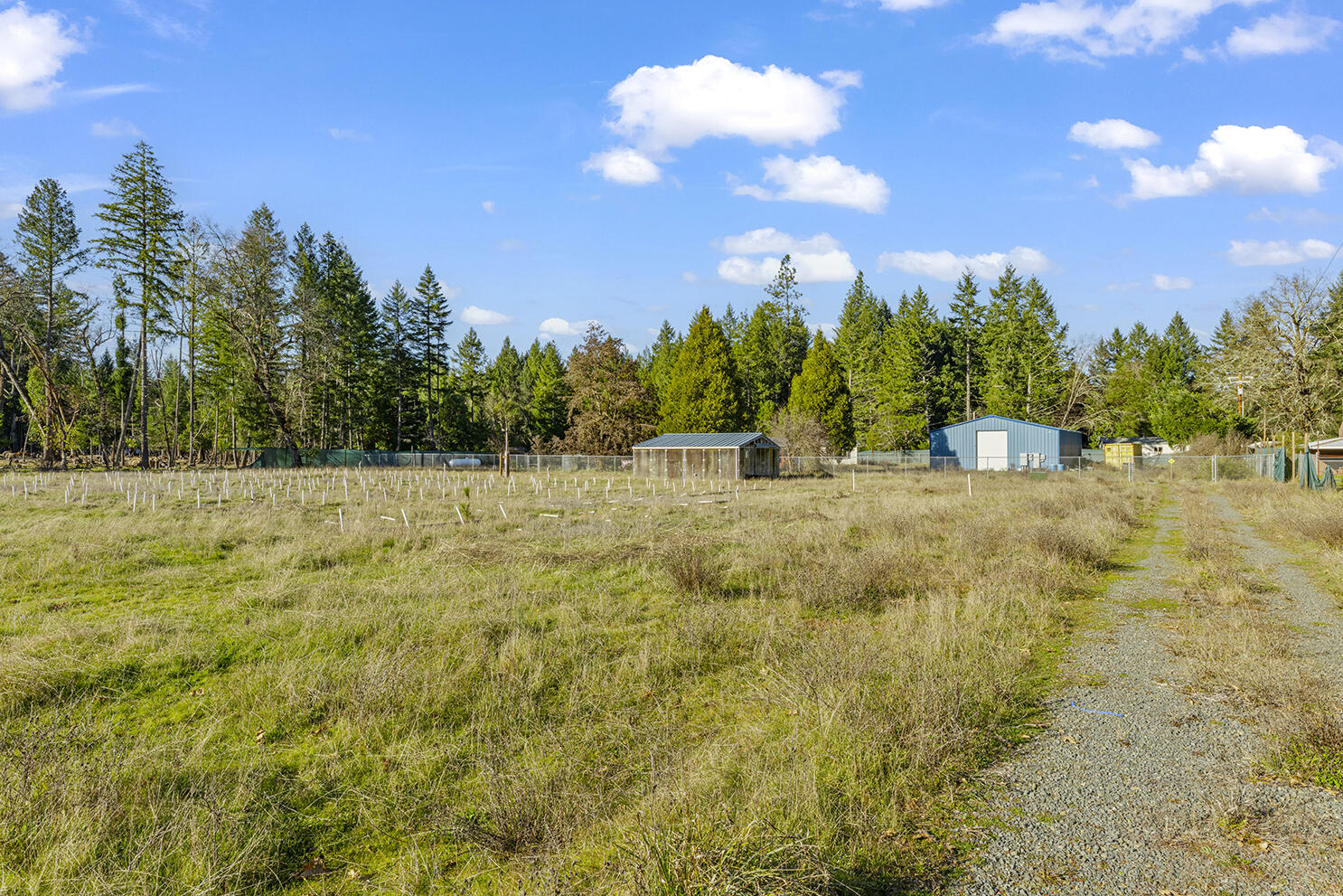 3666 Dick George Road Cave Junction, OR 97523 - Photo 18 of 25 Gallery Image 18