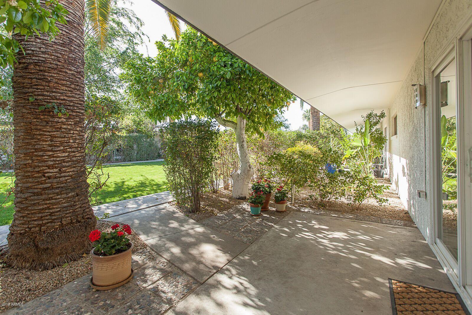 1250 East Bethany Home Road, Unit 16 Phoenix, AZ 85014 - Photo 26 of 40 Private Patio3