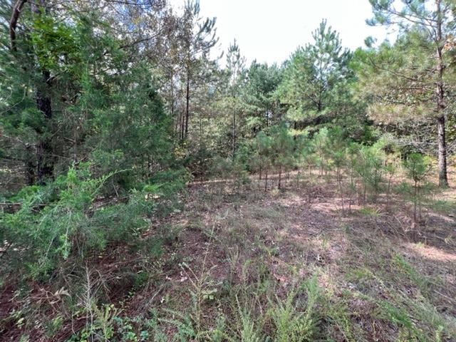 0 Drake Loop Savannah, TN 38372 - Photo 7 of 12 Gallery Image 7