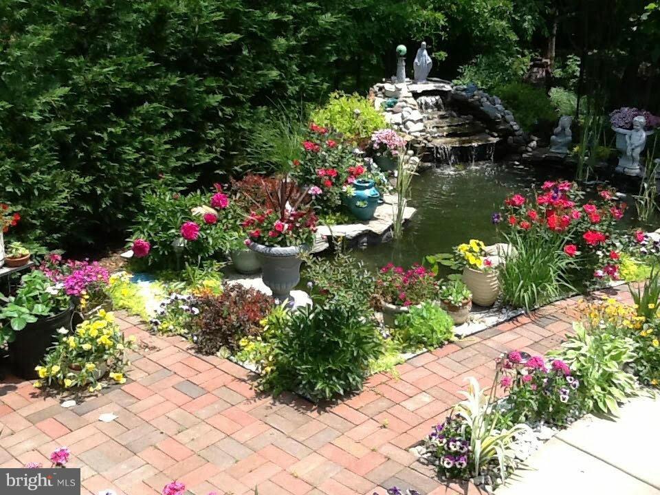 2009 Sullivan Lane Silver Spring, MD 20906 - Photo 29 of 30 Koi Pond