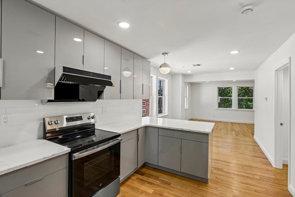 31 Coleman Road, Unit 1 Arlington, MA 02476 - Photo 7 of 38