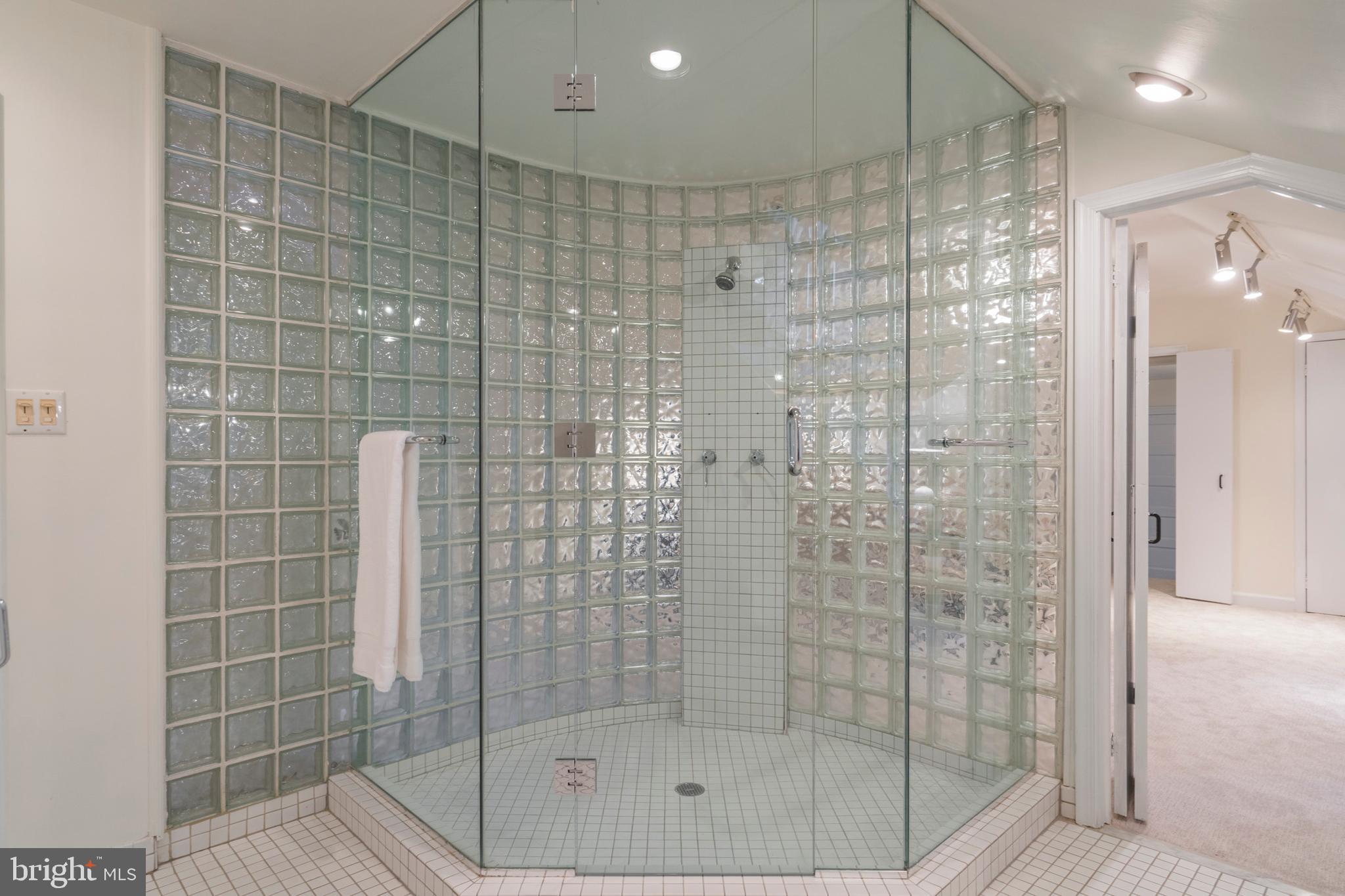 354 Baird Road Merion Station, PA 19066 - Photo 30 of 54 Master Bathroom