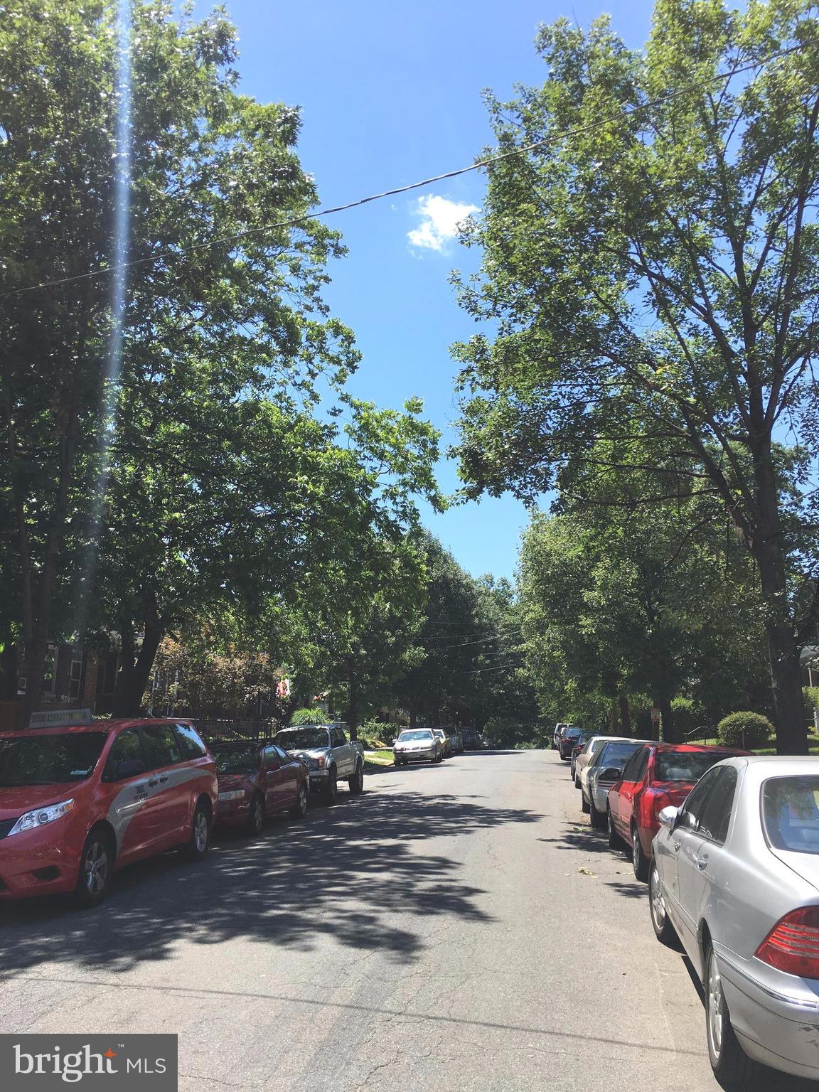 1301 Longfellow Street Northwest, Unit 207 Washington, DC 20011 - Photo 12 of 16 Charming Tree Lined Neighborhood