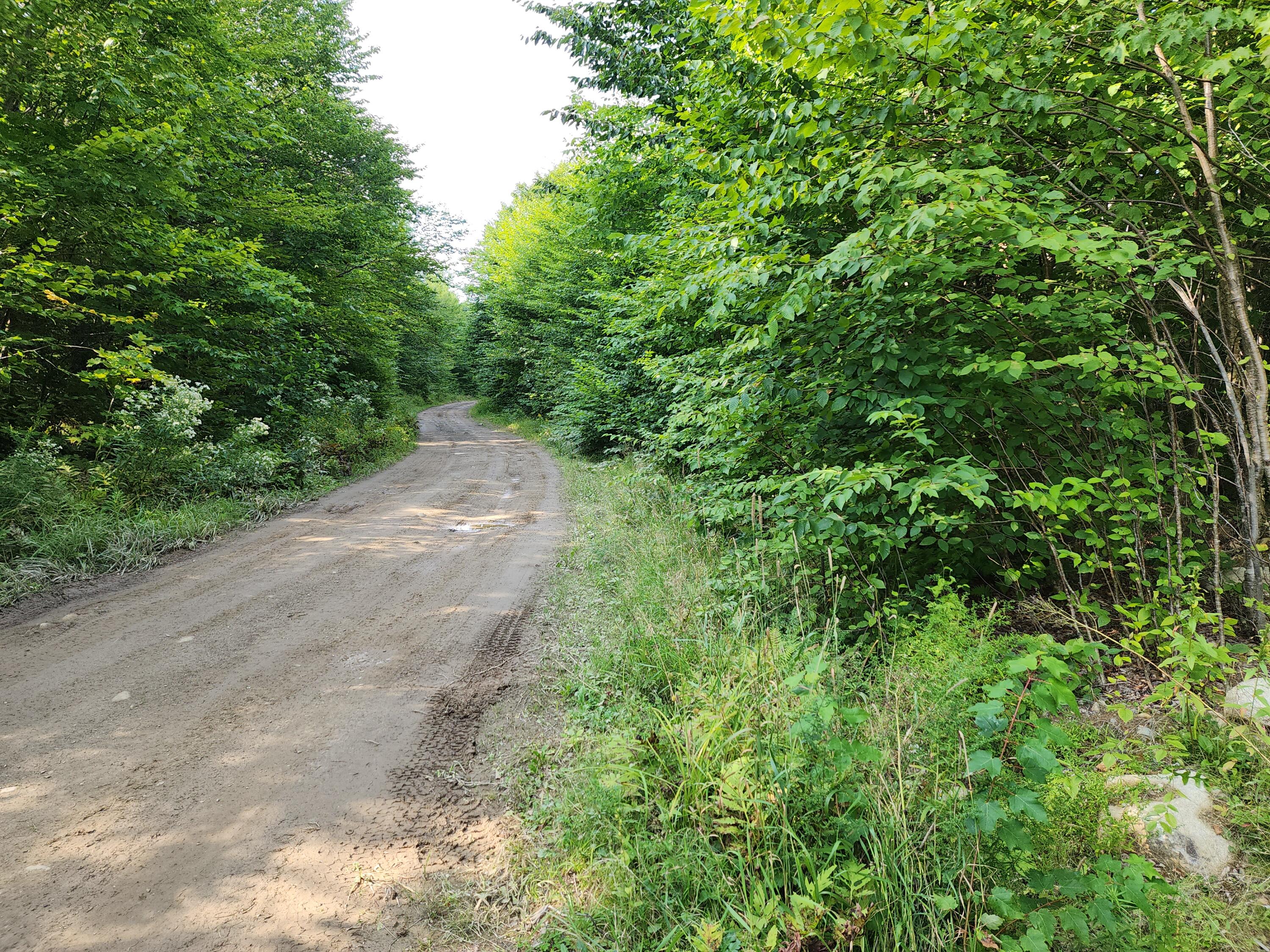 Lot D Fire Road Linneus, ME 04730 - Photo 1 of 5 20230829_161027