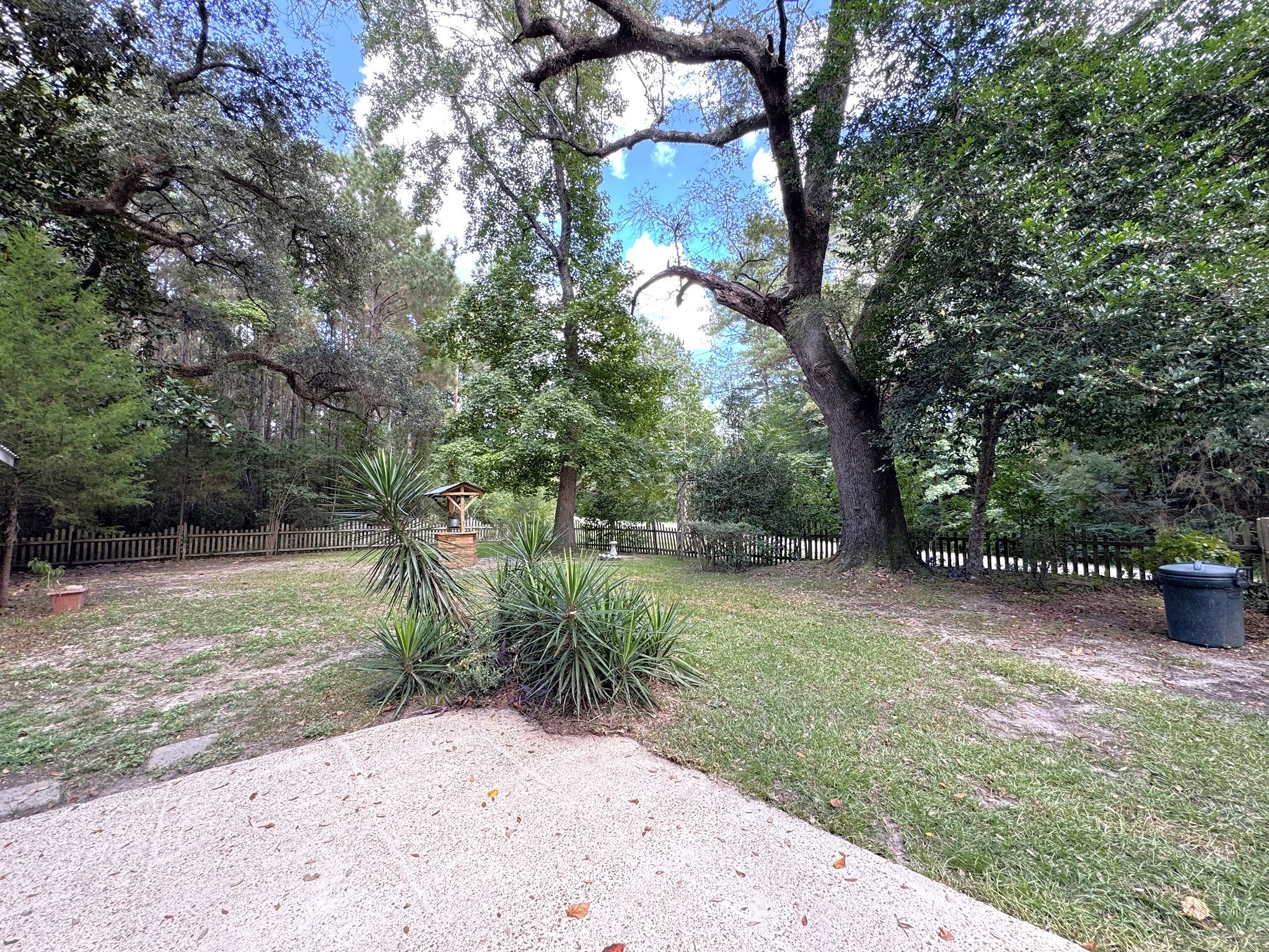 403 North Pitzer Street Colmesneil, TX 75938 - Photo 5 of 30