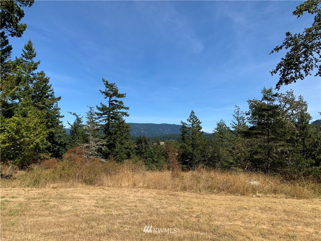 0 Lehmann Levels Road Orcas Island, WA 98245 - Photo 1 of 5 Gallery Image 1