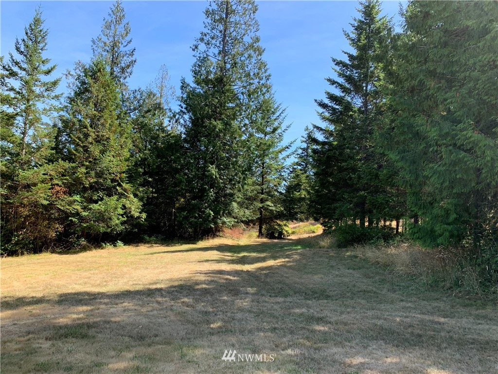 0 Lehmann Levels Road Orcas Island, WA 98245 - Photo 2 of 5 Gallery Image 2