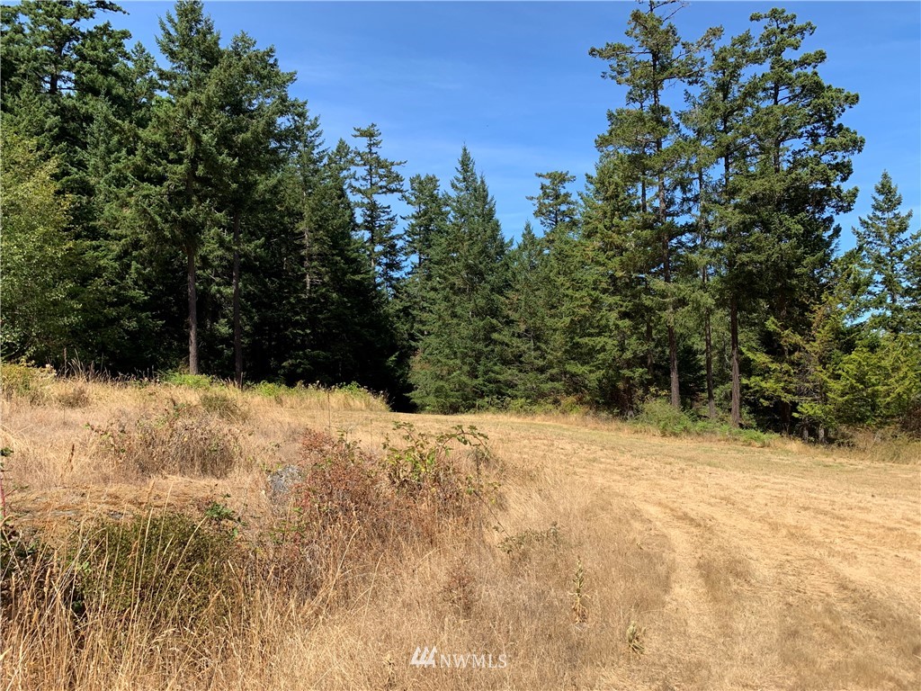 0 Lehmann Levels Road Orcas Island, WA 98245 - Photo 3 of 5 Gallery Image 3