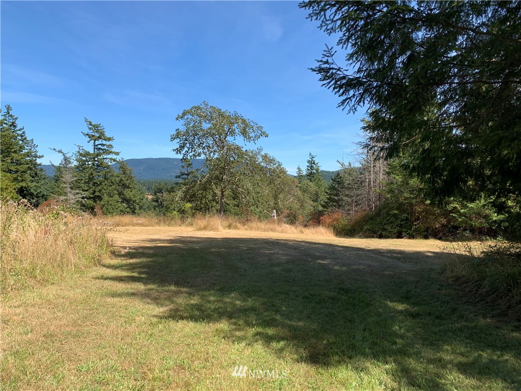 0 Lehmann Levels Road Orcas Island, WA 98245 - Photo 4 of 5 Gallery Image 4
