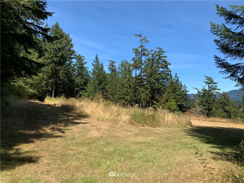 0 Lehmann Levels Road Orcas Island, WA 98245 - Photo 5 of 5 Gallery Image 5