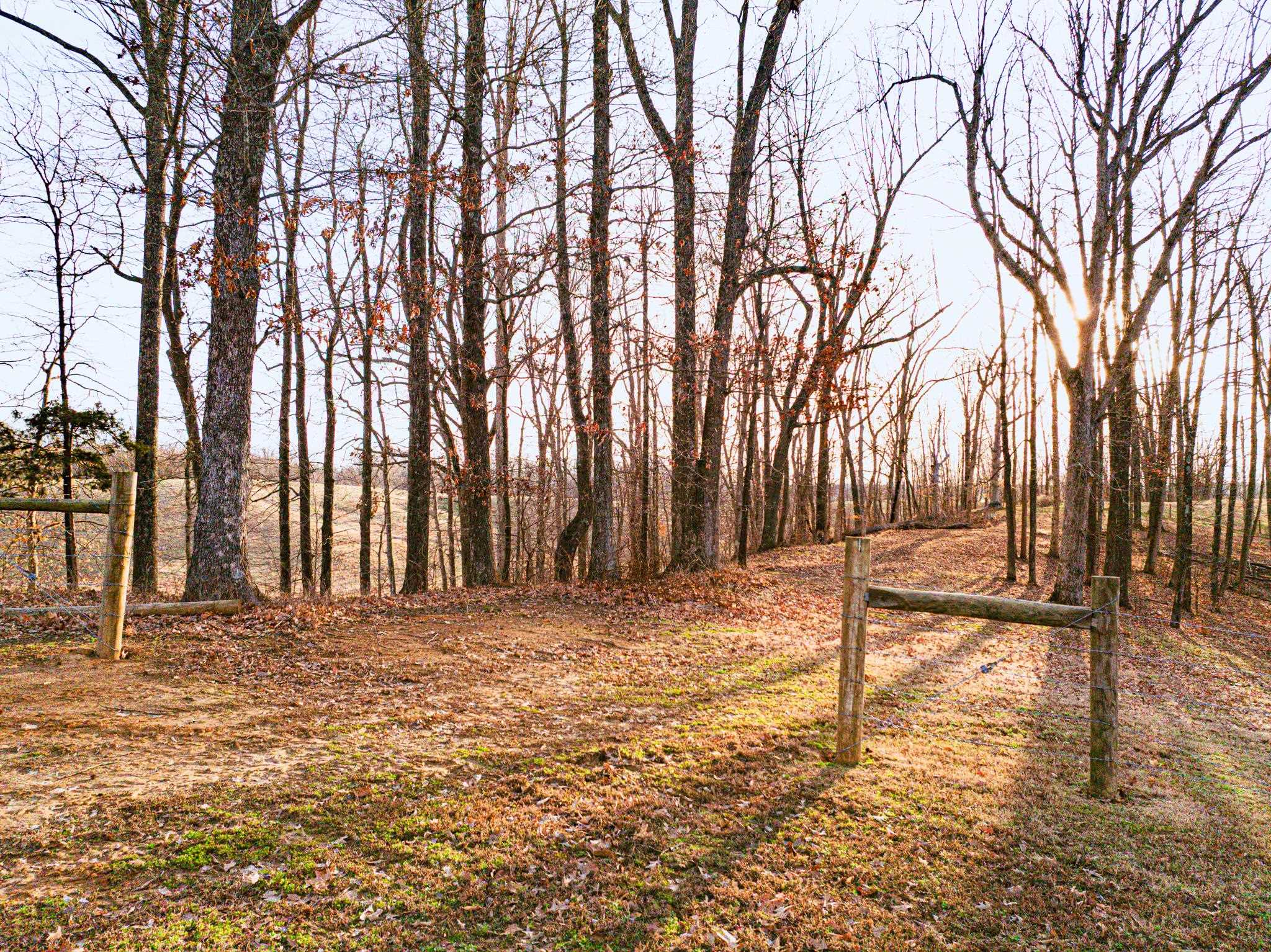 5030 Rogers Marshall Road Union City, TN 38261 - Photo 39 of 40 a view of a backyard of the house