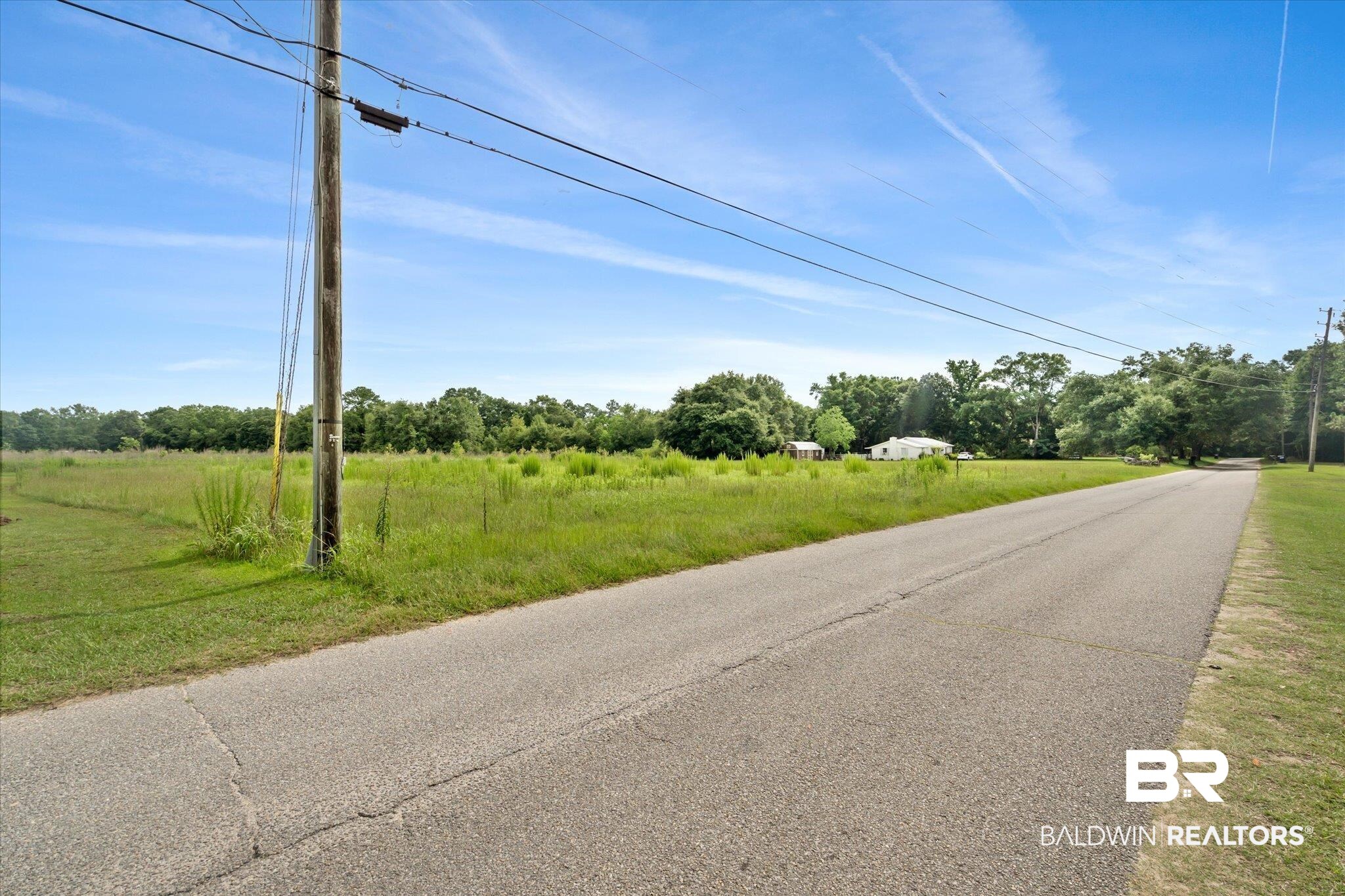 10000 Wells Road North Theodore, AL 36582 - Photo 17 of 17 View of street