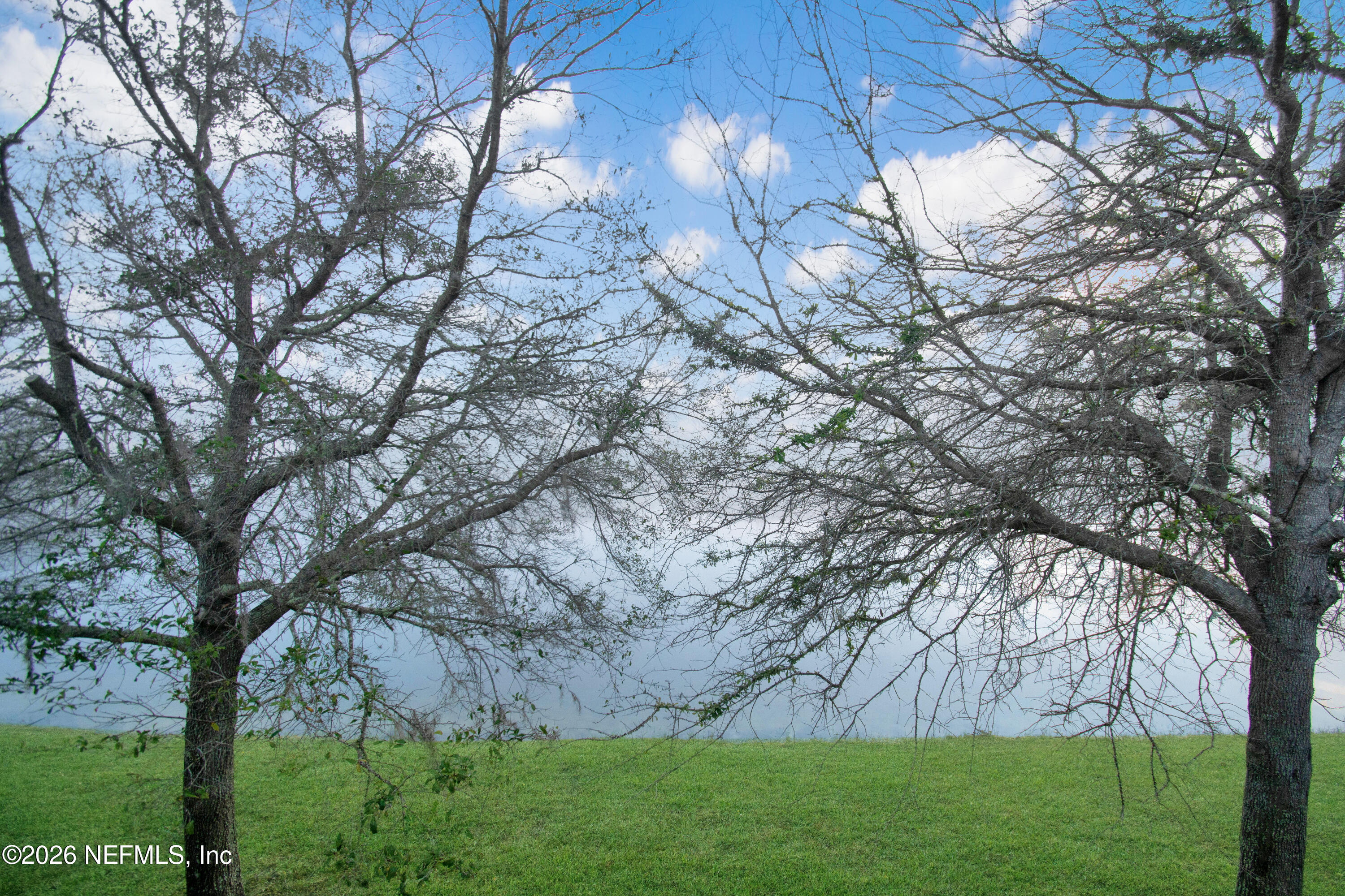 2334 Golden Lake Loop St. Augustine, FL 32084 - Photo 31 of 31 a view of a field with large trees