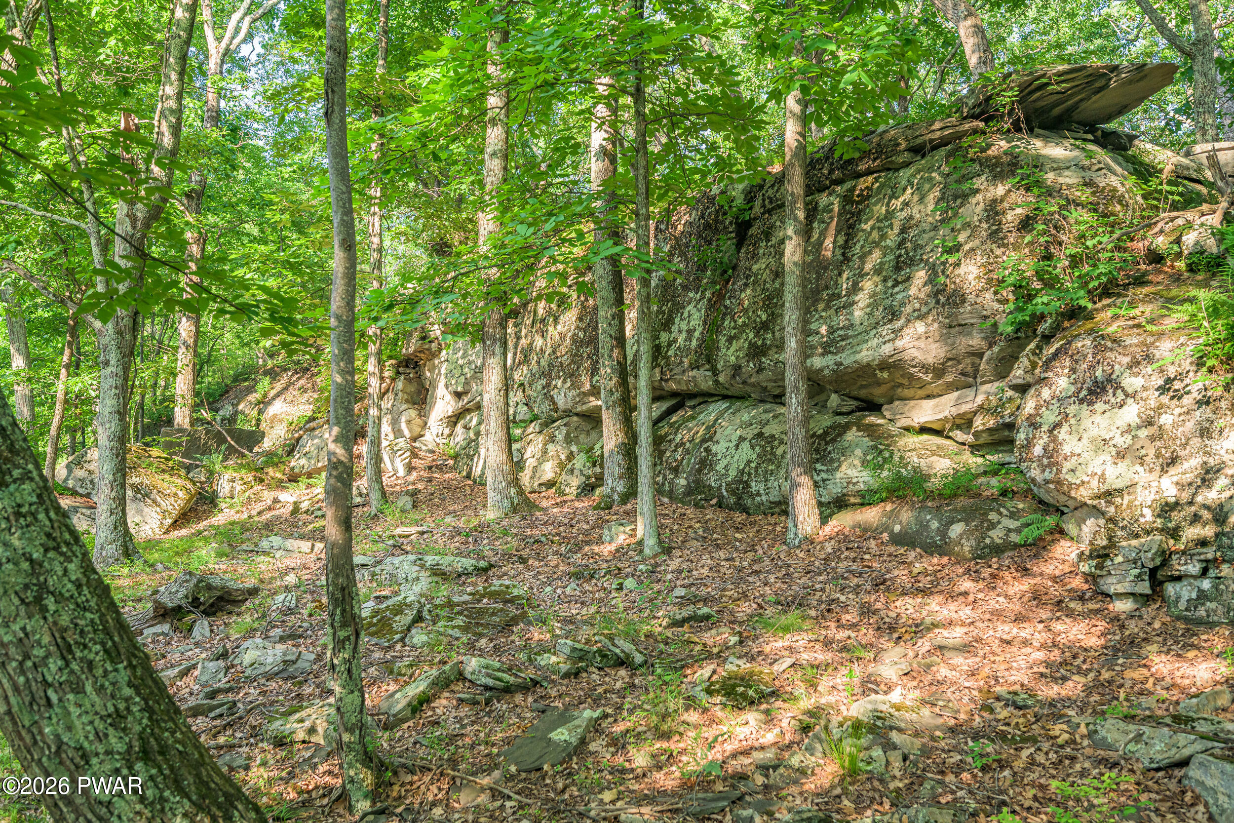 High Ridge Dingmans Ferry, PA 18328 - Photo 19 of 63