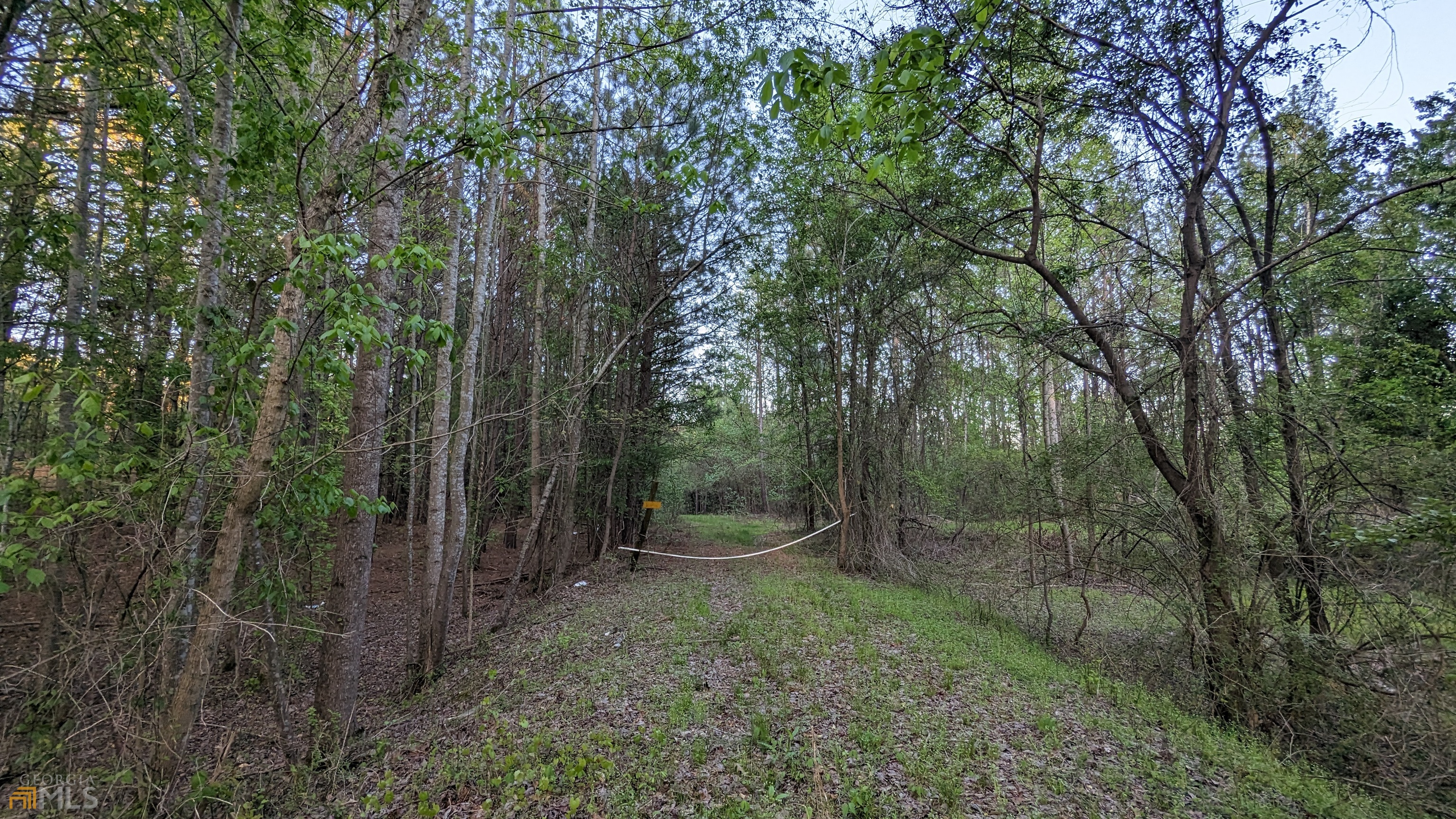 7490 Butner Road Fairburn, GA 30213 - Photo 4 of 9 a view of a forest filled with trees