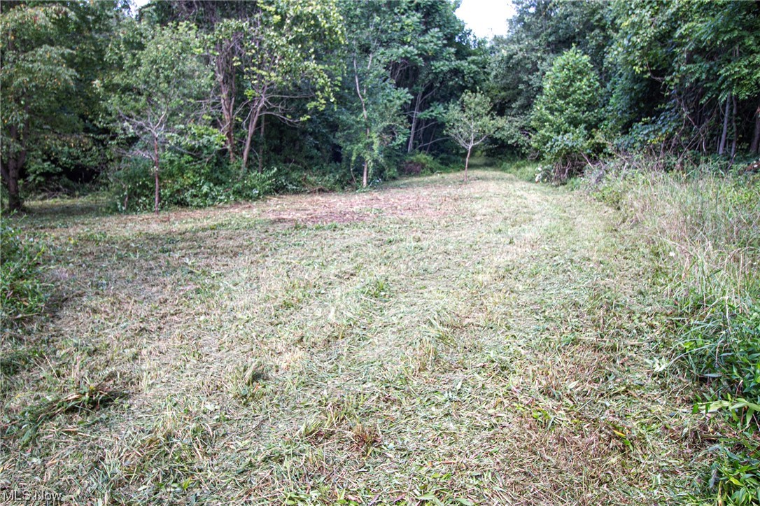 View of nature