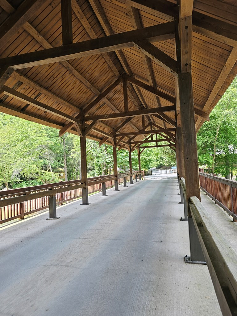 175 Misty Hollow Road Ellijay, GA 30536 - Photo 24 of 24 Gallery Image 24
