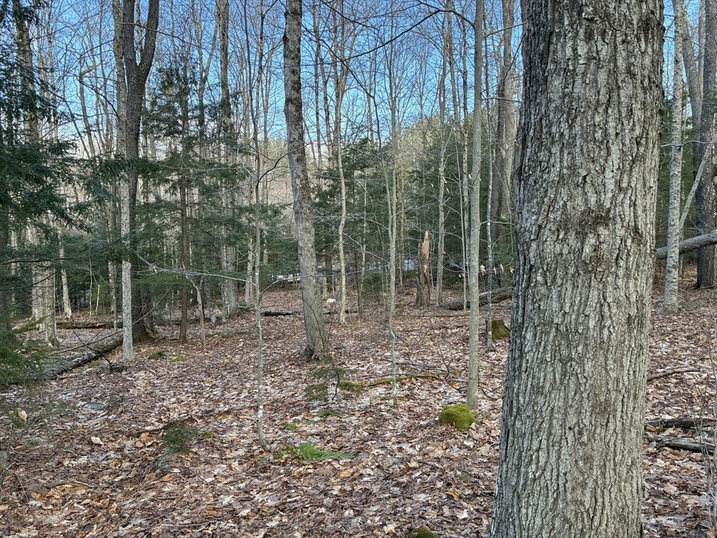 5 Leshures Road Rowe, MA 01367 - Photo 12 of 12