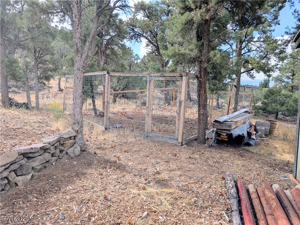 8320 Mother Lode Road Pioche, NV 89043 - Photo 17 of 46 Dog Run