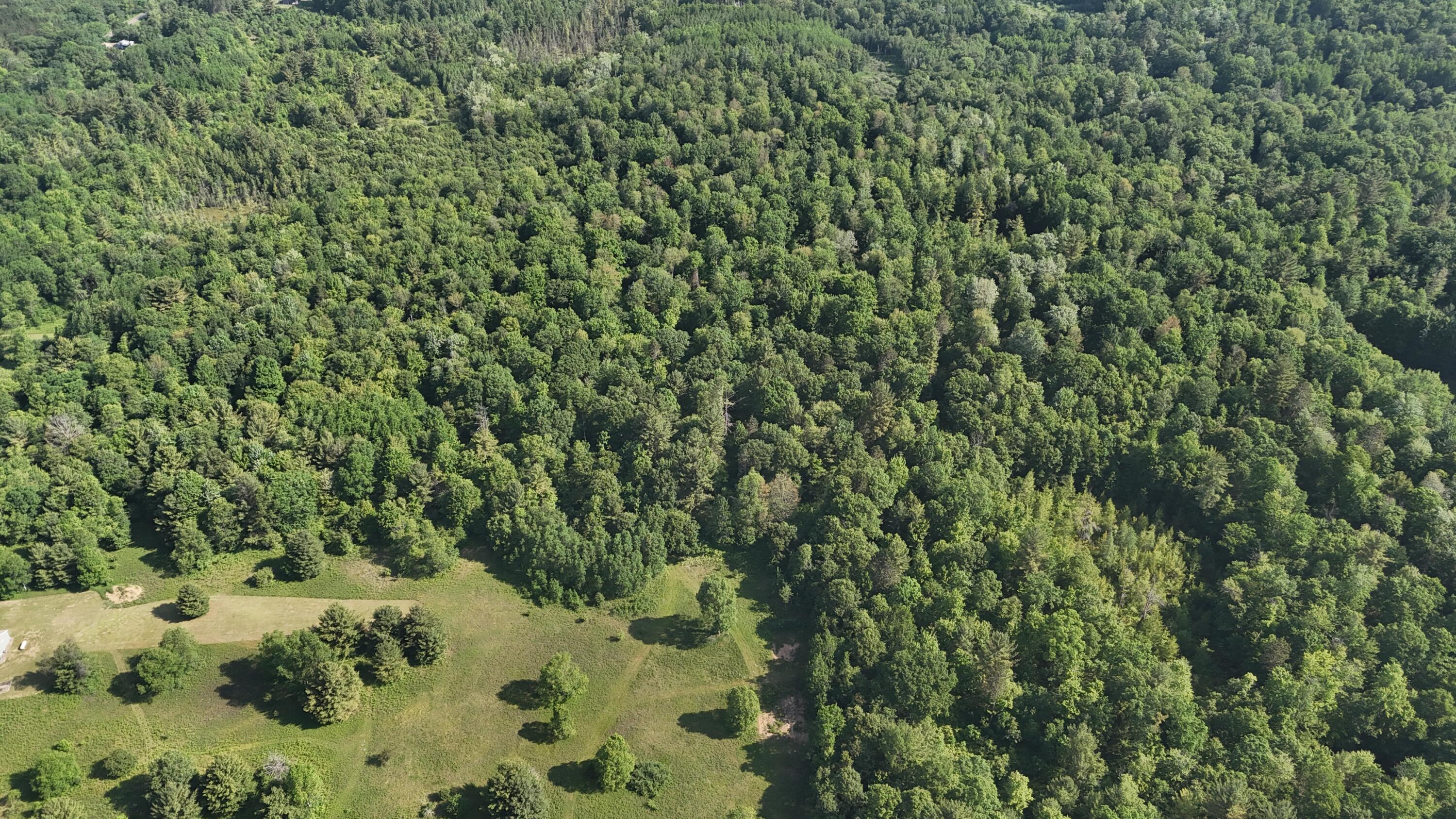 Dickson Road Brethren, MI 49619 - Photo 26 of 27 dji_fly_20250617_100722_0569_17501698487
