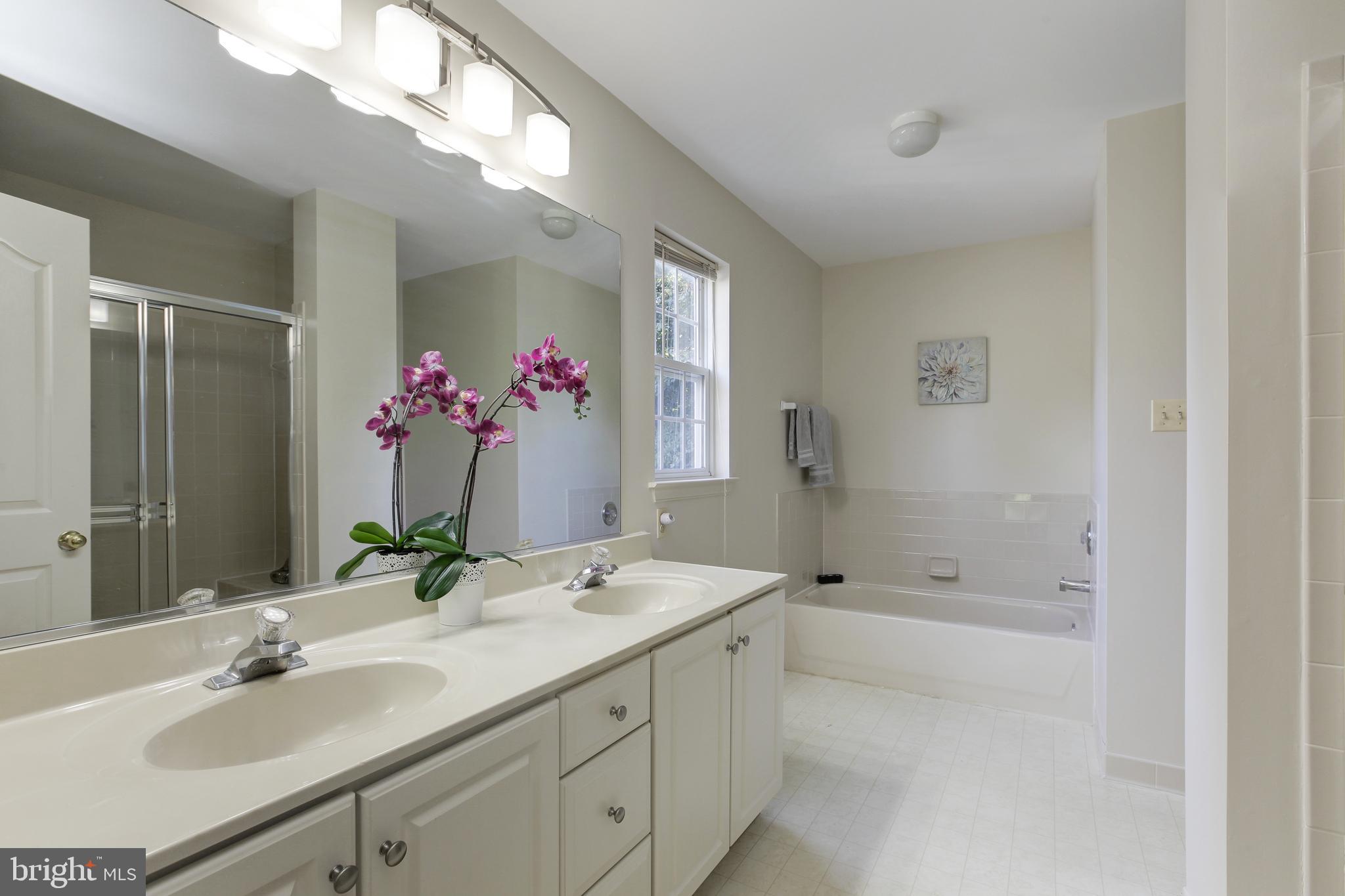 8014 Big Pool Road Laurel, MD 20724 - Photo 29 of 52 a bathroom with a shower sink vanity and mirror