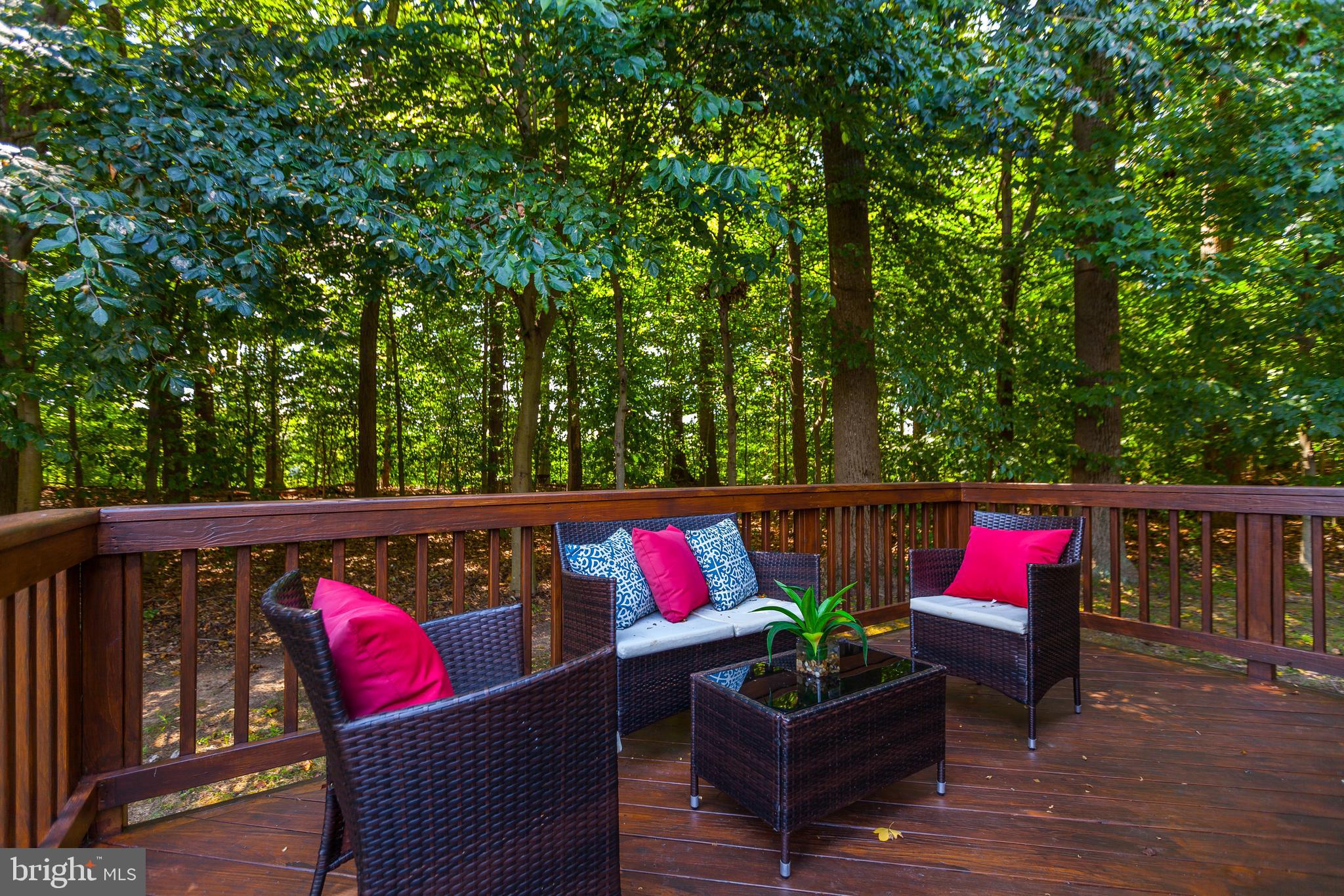 8014 Big Pool Road Laurel, MD 20724 - Photo 46 of 52