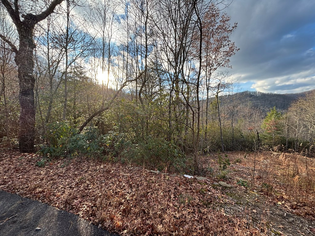 2.02-ac Viewforth Place Topton, NC 28781 - Photo 6 of 9
