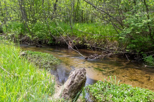 $900,000 | 18090 Read Road, Copemish, MI 49625