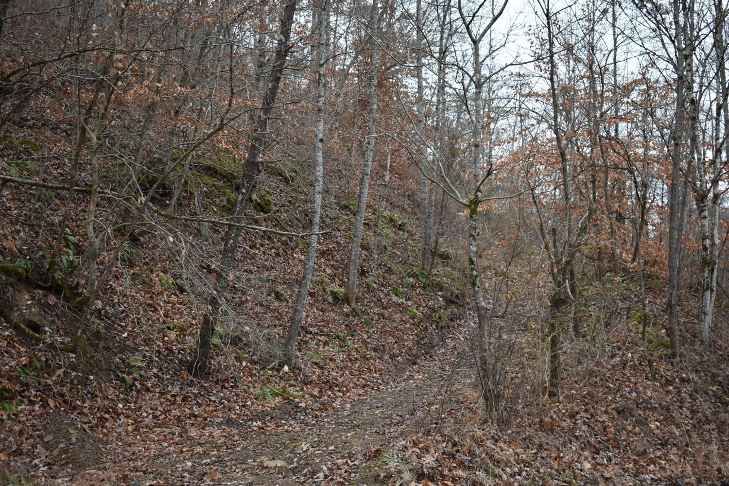9999 East Crawfish Road Manchester, KY 40962 - Photo 51 of 52 Photo 51