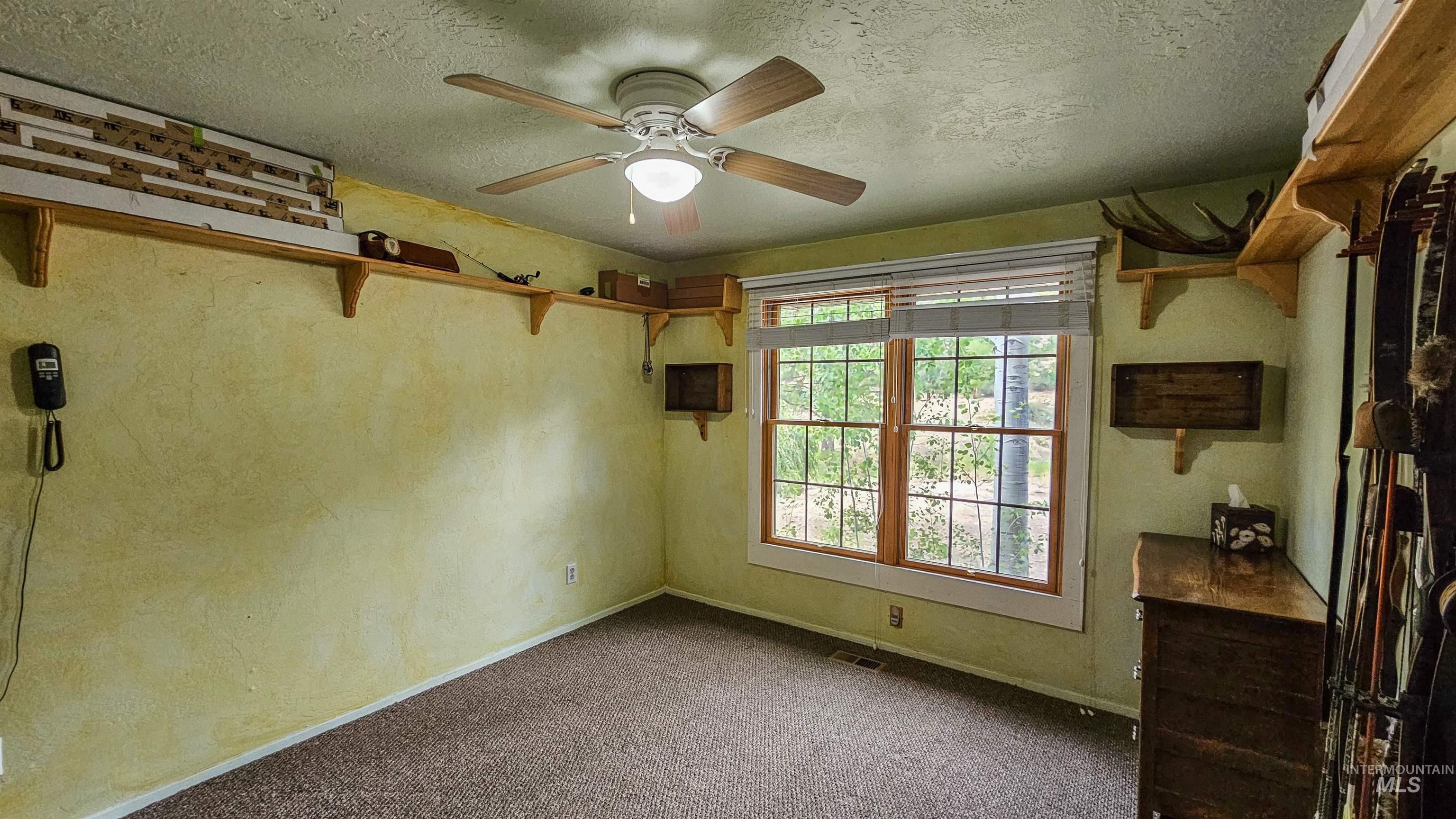 3382 Highway 21 Boise, ID 83716 - Photo 15 of 50 Spare room featuring a ceiling fan, carpet floors, and a textured ceiling