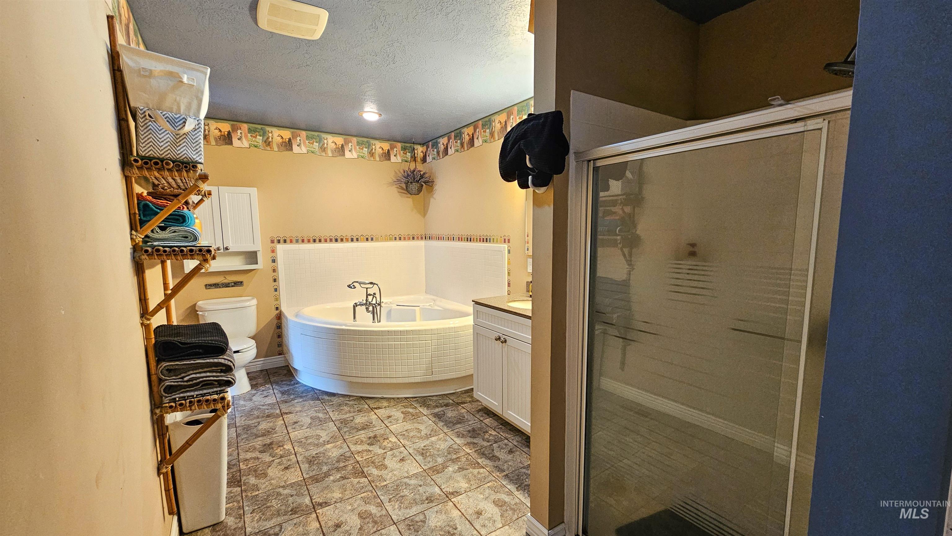 3382 Highway 21 Boise, ID 83716 - Photo 25 of 50 Full bathroom featuring a shower stall, a bath, vanity, and a textured ceiling