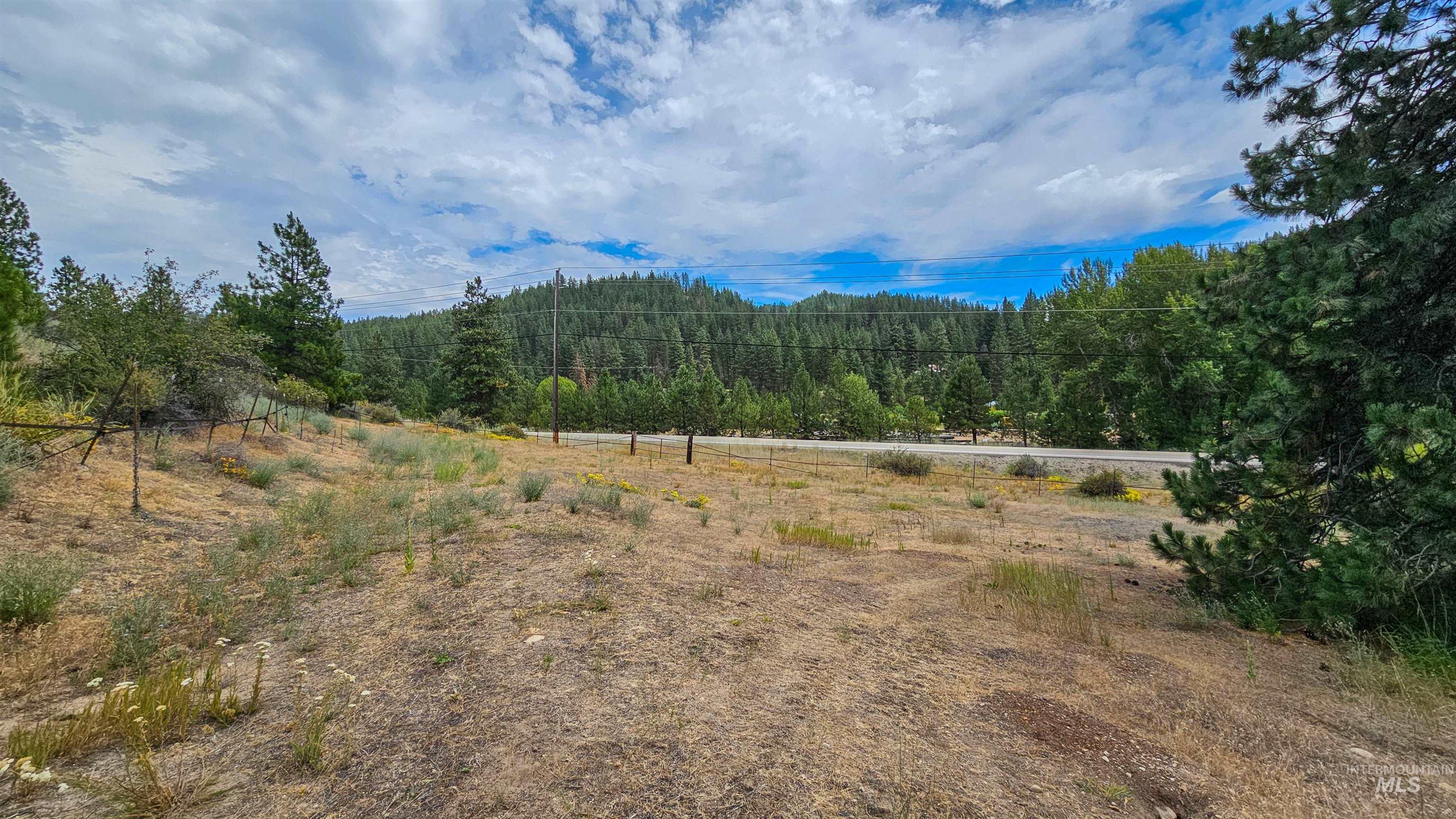 3382 Highway 21 Boise, ID 83716 - Photo 35 of 50 View of mountain backdrop with a heavily wooded area