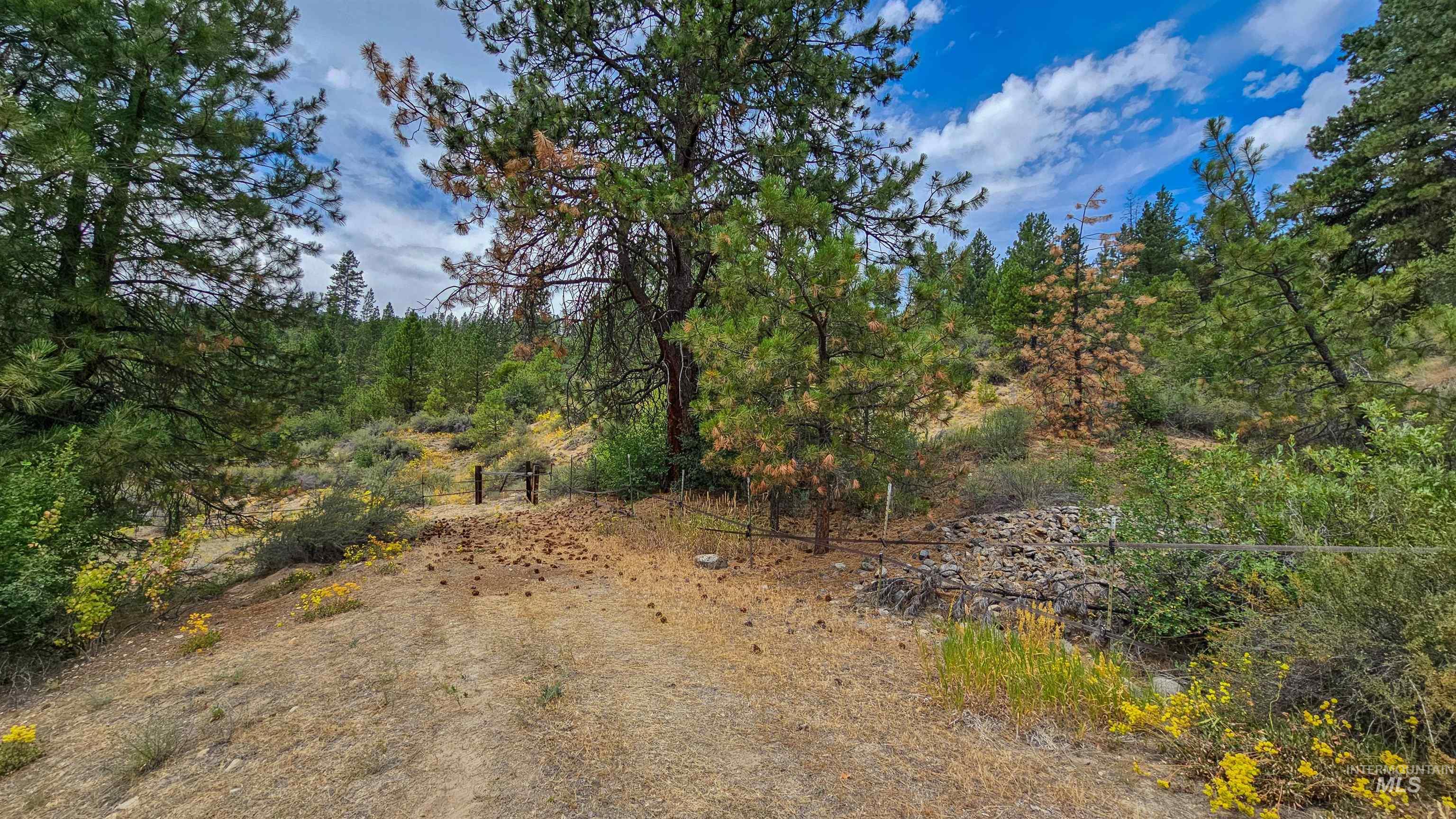 3382 Highway 21 Boise, ID 83716 - Photo 36 of 50 View of woods