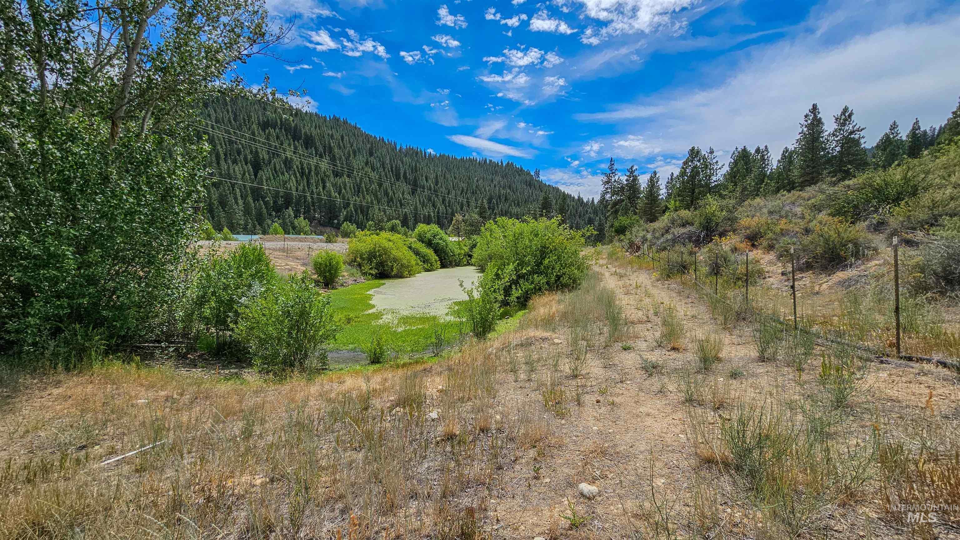 3382 Highway 21 Boise, ID 83716 - Photo 43 of 50 View of mountain backdrop featuring a forest