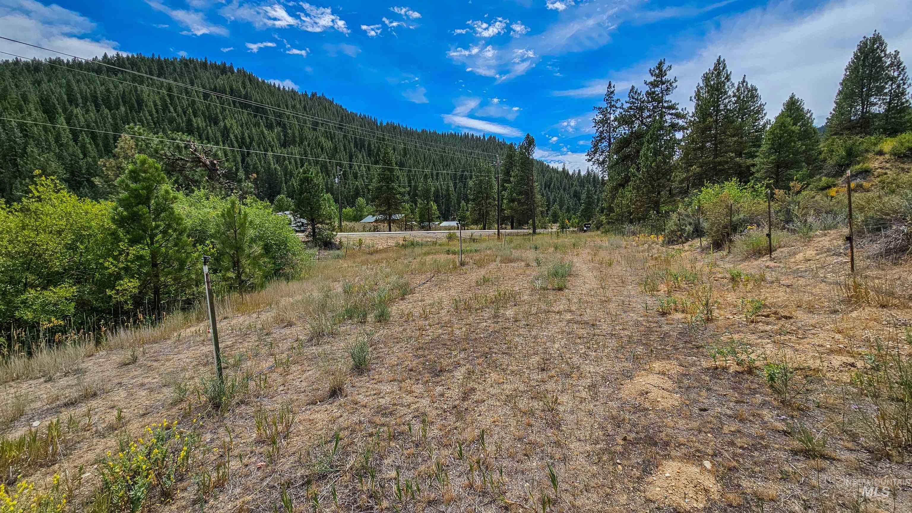 3382 Highway 21 Boise, ID 83716 - Photo 44 of 50 Mountain view with a heavily wooded area