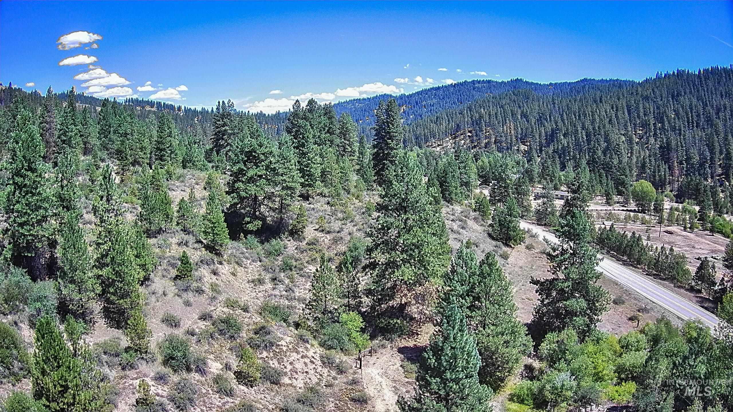 3382 Highway 21 Boise, ID 83716 - Photo 46 of 50 View of yard